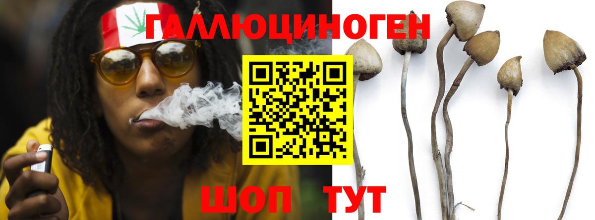 Комсомольск-на-Амуре  Псилоцибиновые грибы Magic Shrooms  Вход с VPN 
